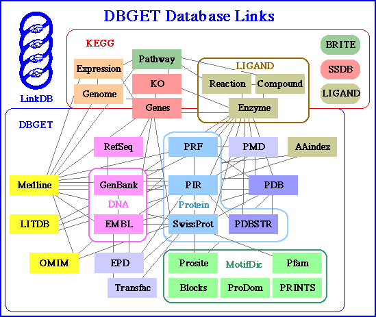 DBGET2004